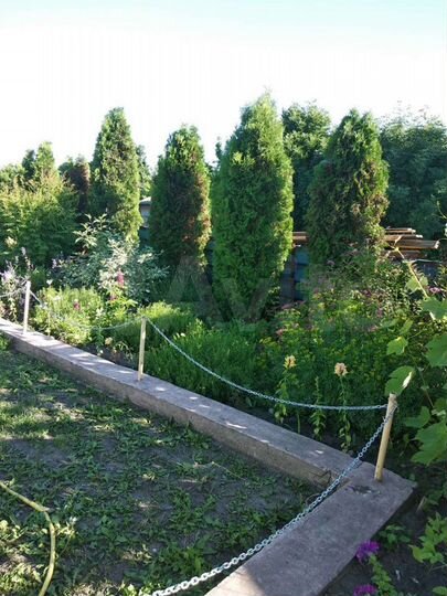 Дом 50 м² на участке 46 сот.