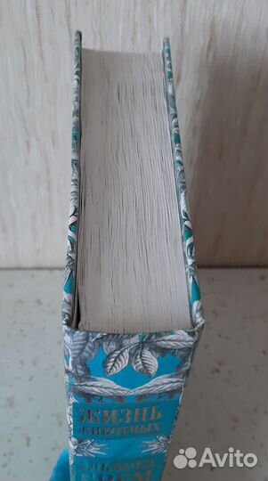 Брем Рыбы и амфибии