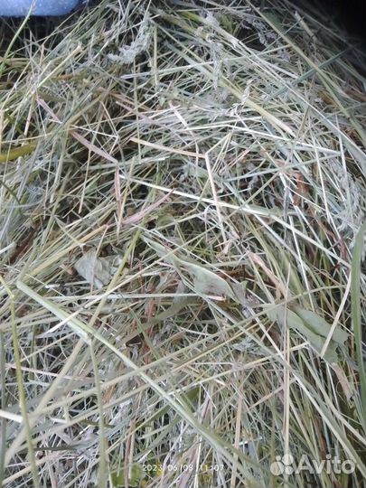 Сено луговое для любимых питомцев