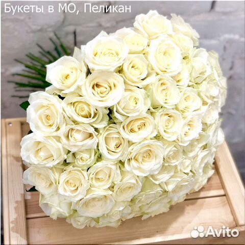Цветы розы