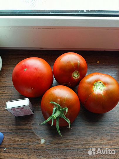 Семена толстостенных перчиков и вкусных помидор