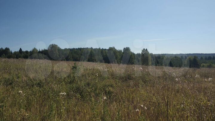 Участок 1,4 га (СНТ, ДНП)