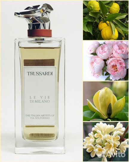 Trussardi The Italian Artist of Via Solferino