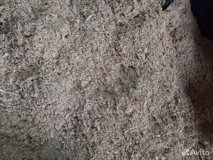Опилки берёзовые