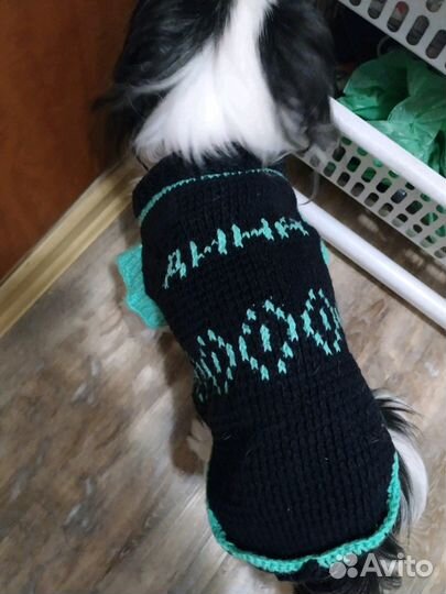Вяжу именную одежду для собак