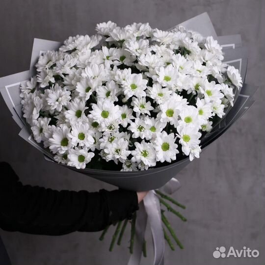 Нежный и пышный букеты из хризантем за 150