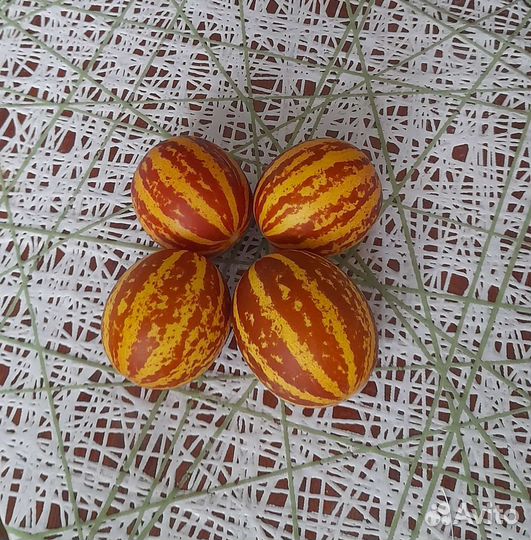 Семена вьетнамский дыни