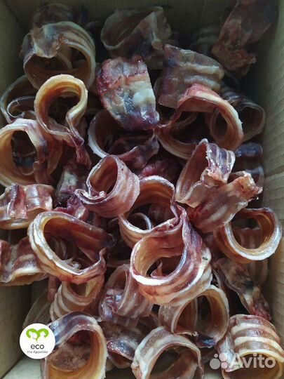 Лакомства для собак