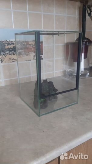 Террариум 30х20х20