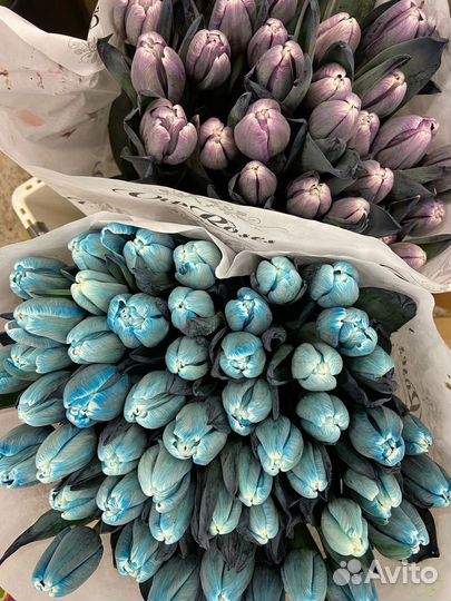 Букет из тюльпанов