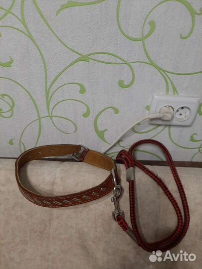 Поводок для собаки