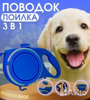 Поводок для собак