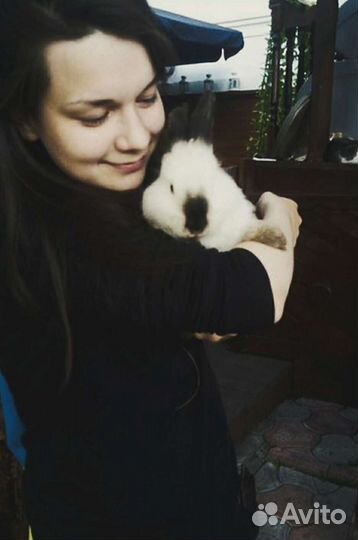 Котоняня, dogняня, домашняя передержка, зооняня