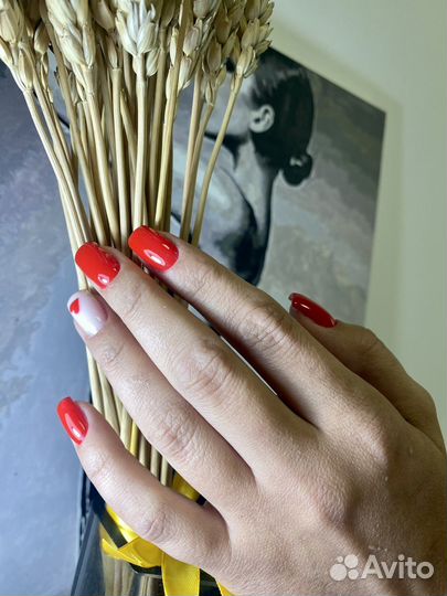 Требуется модель