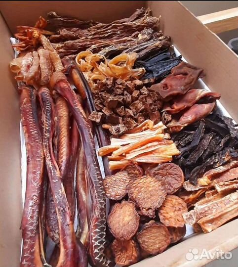 Лакомства для собак