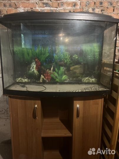 Аквариум с тумбой бу
