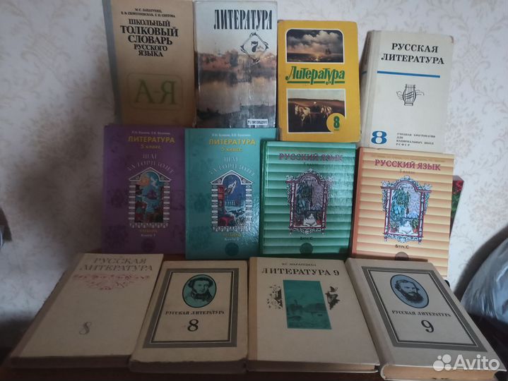 Учебники, пособие по русскому языку и литературе