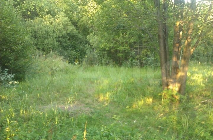 Участок 20 сот. (СНТ, ДНП)