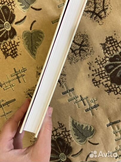 Джен синсеро «ни сы»