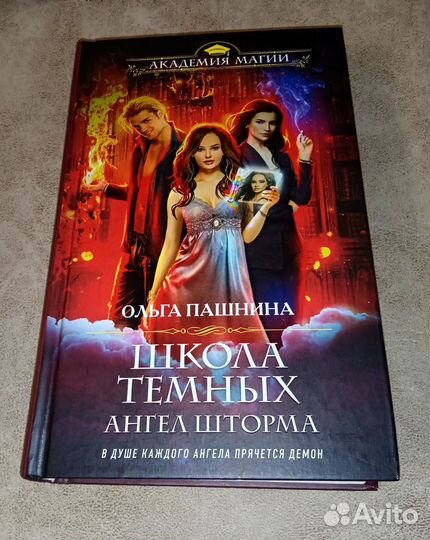 Школа тёмных. Ангел Шторма