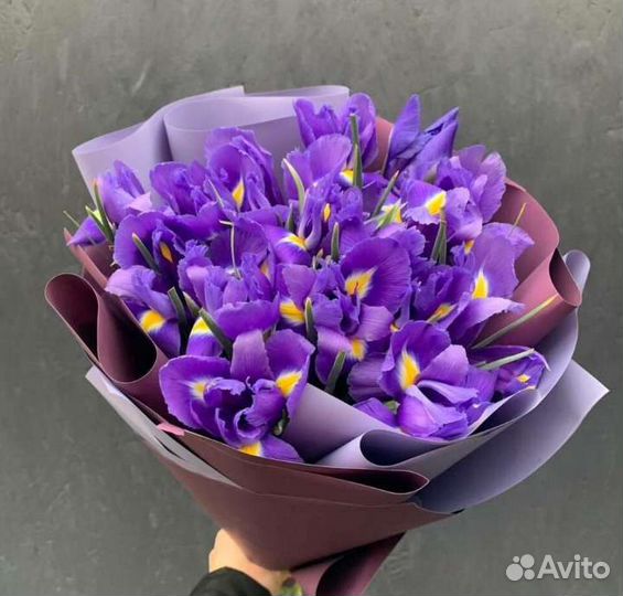 Цветы, Букет из ирисов