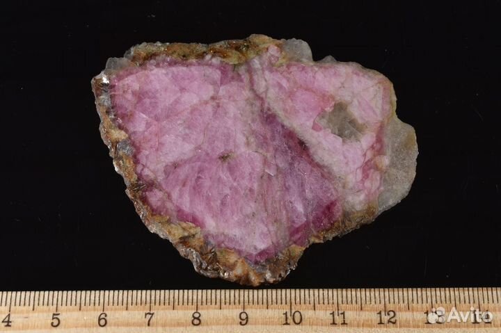 Турмалин. Полированный срез. Лот №201