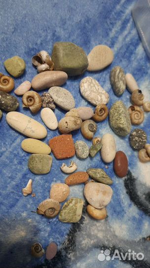 Камни в аквариум и ракушки