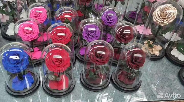 Роза в колбе оптом