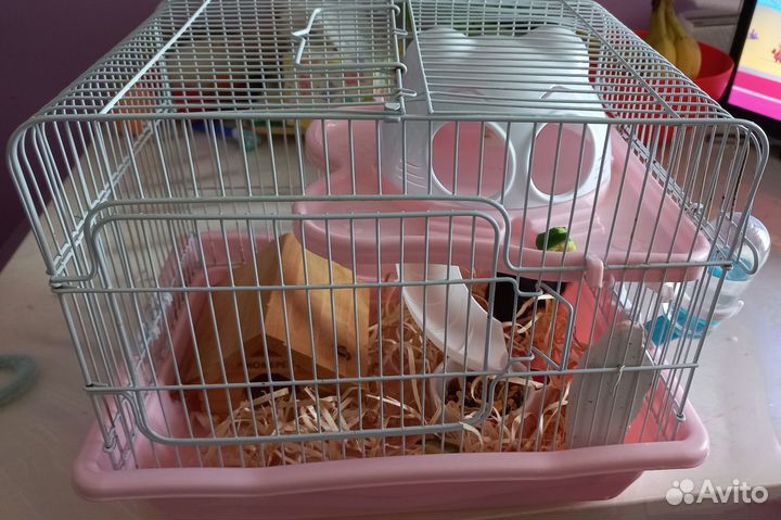 Хомячок с клеткой