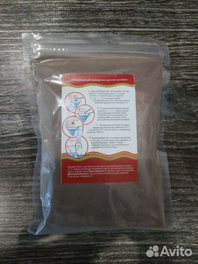 Артемия цисты