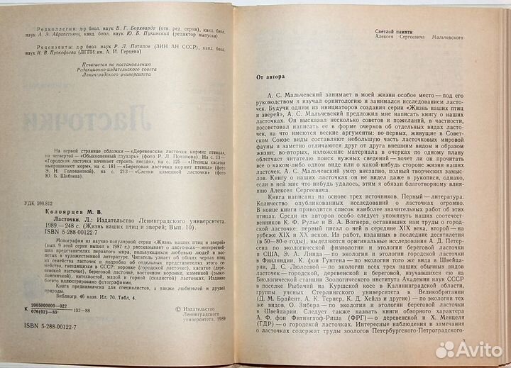 Колоярцев М.В. – Ласточки