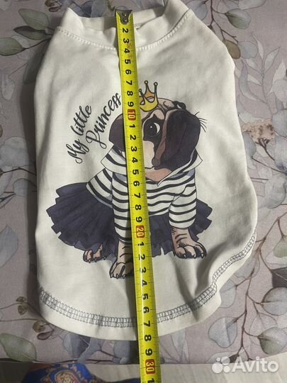 Одежда для животных