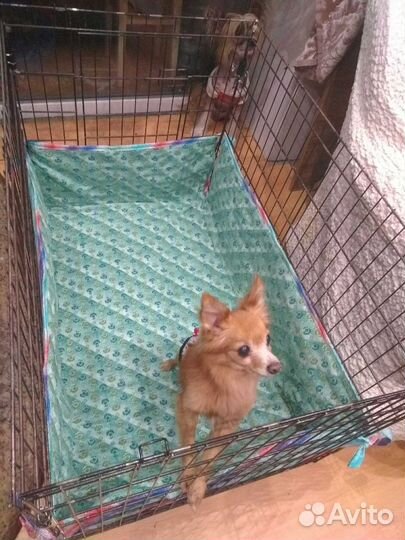 Многоразовые пеленки