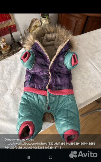 Одежда для маленьких собак