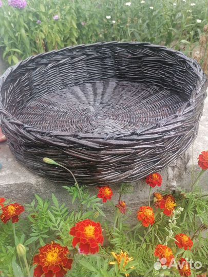 Лежаки для животных