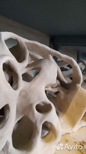 Кораллы, аквариум, интерьер