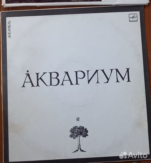 Пластинка винил, группа 