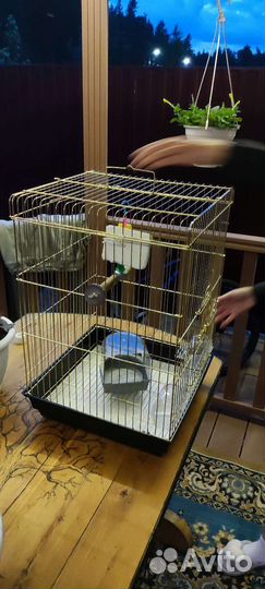 Клетка для попугая. торг уместен