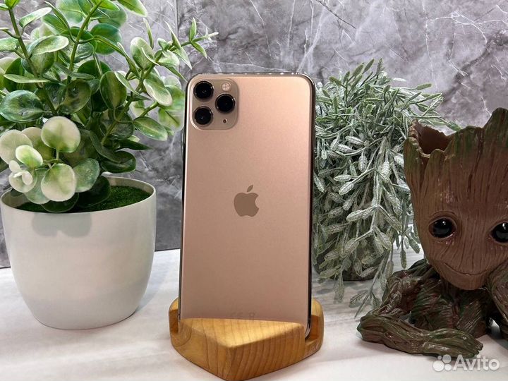 iPhone 11 Pro Max, 64 ГБ