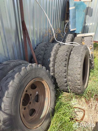 Шины СССР К-65 8.25/20 R20