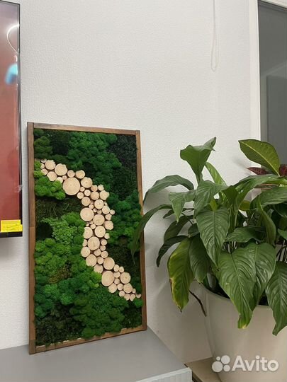 Панно из стабилизированного мха/ картины из мха