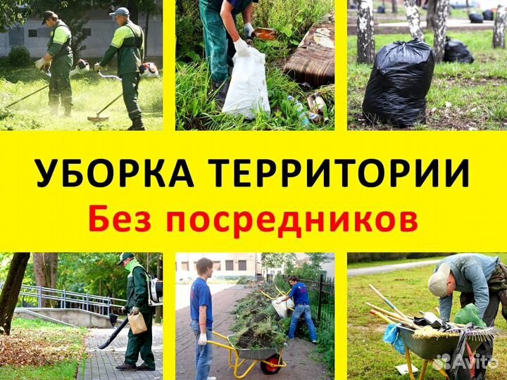 Уборка снега, Уборка территории, офисов, Магазин