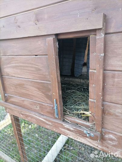 Курятник на 10 кур