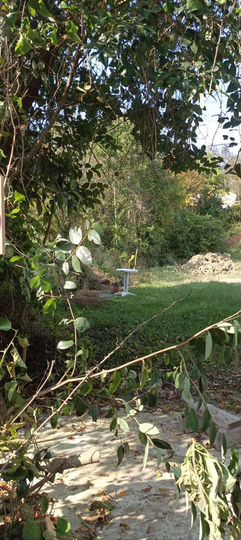 Участок 6 сот. (ИЖС)