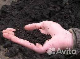 Чернозем с доставкой