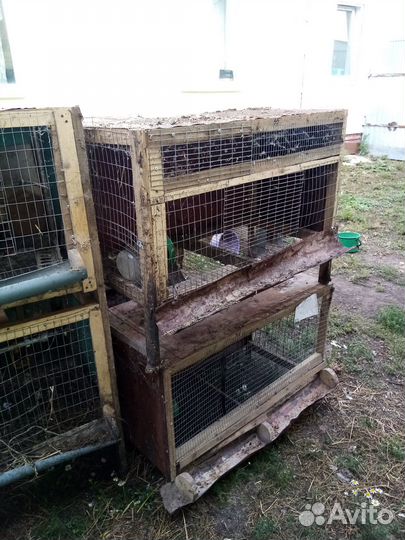 Клетки для бройлеров бу