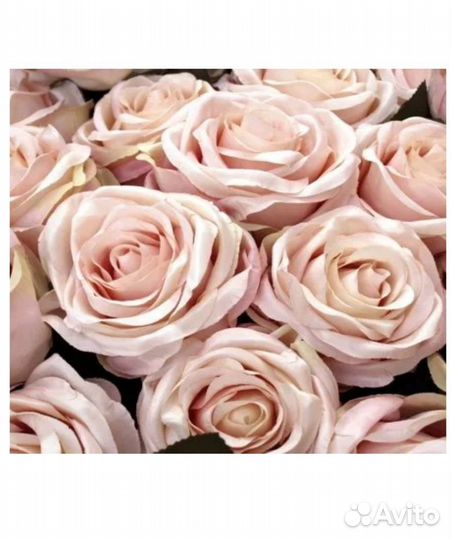 Yodeyma vivacity Вода парфюмерная 15 мл