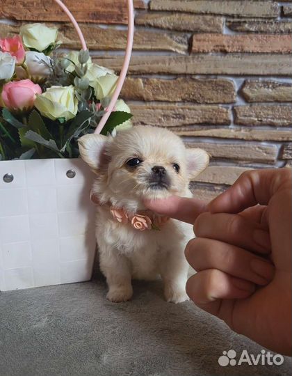 Мальчики красавчики