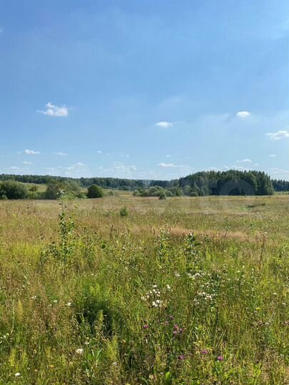 Участок 53,53 га (СНТ, ДНП)