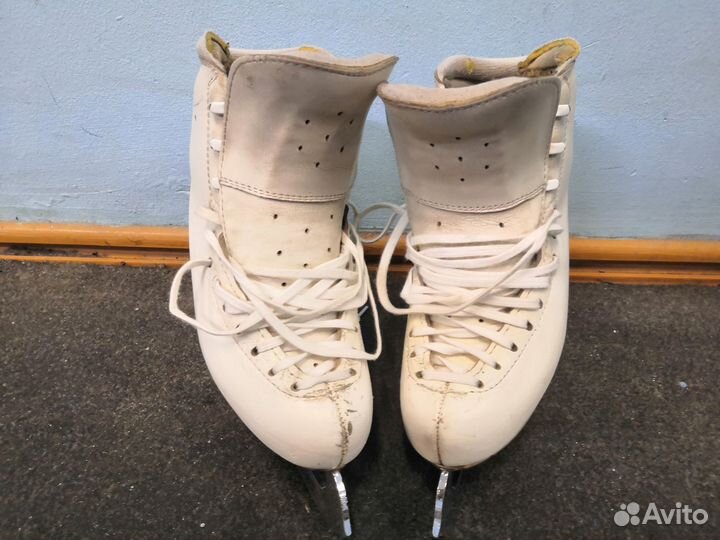 Коньки Edea chorus 230